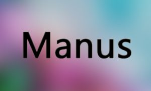 Manus